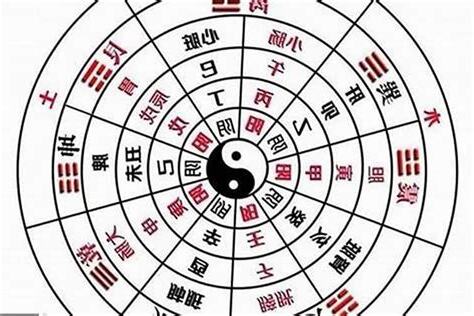 八字全陽 女
